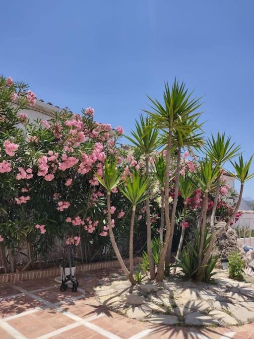 Vivienda Rural Las Bartolas Jaen Bagian luar foto